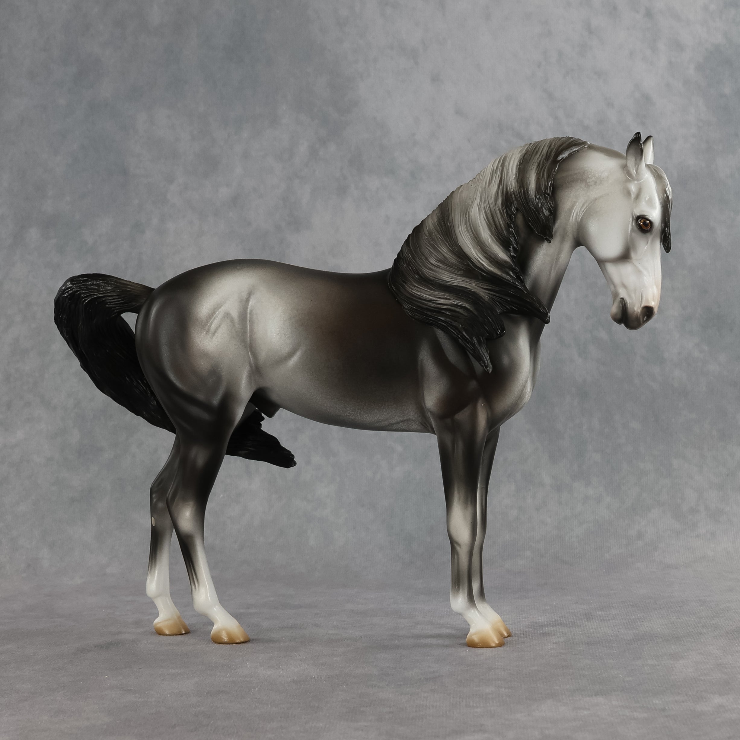Bingley OOAK FCM Andalusian by Jess Hamill SHCF26