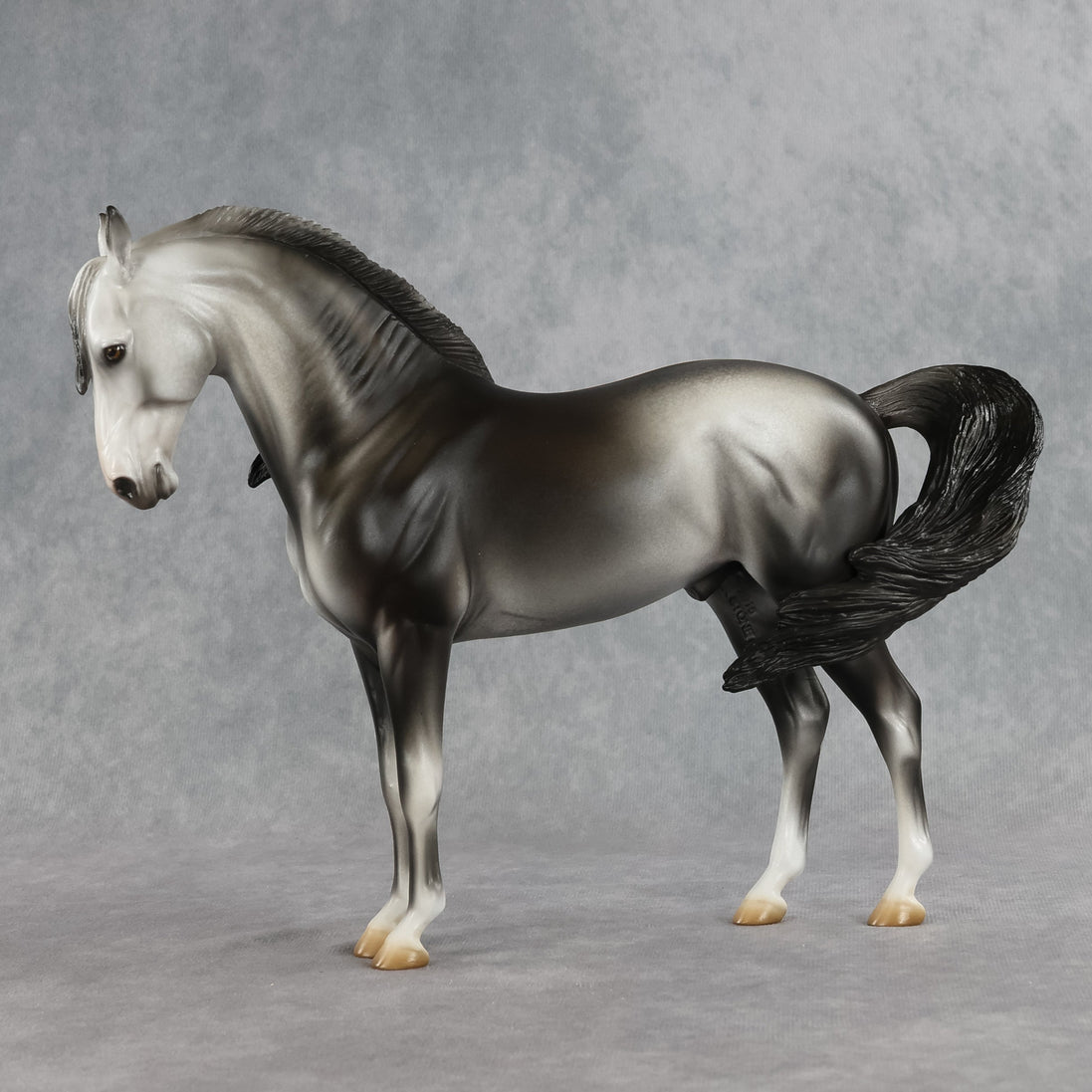 Bingley OOAK FCM Andalusian by Jess Hamill SHCF26