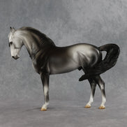 Bingley OOAK FCM Andalusian by Jess Hamill SHCF26