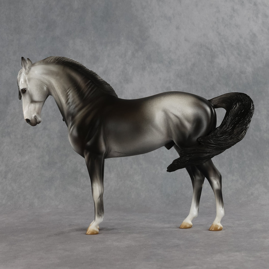 Bingley OOAK FCM Andalusian by Jess Hamill SHCF26