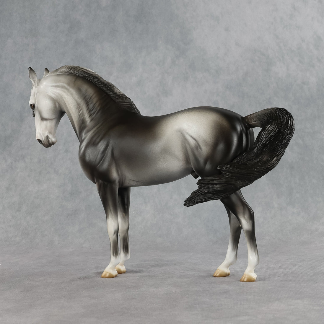 Bingley OOAK FCM Andalusian by Jess Hamill SHCF26