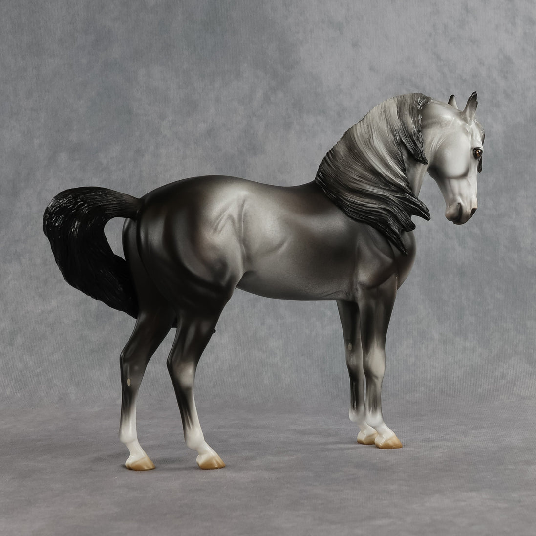 Bingley OOAK FCM Andalusian by Jess Hamill SHCF26