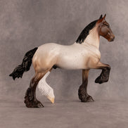 Birthday Boy-o OOAK FCM Trotting Drafter by Alex Fortman EQ26