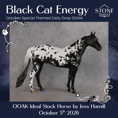 Black Cat Energy OOAK Ideal Stock Horse by Jess Hamill DDOOAKs26