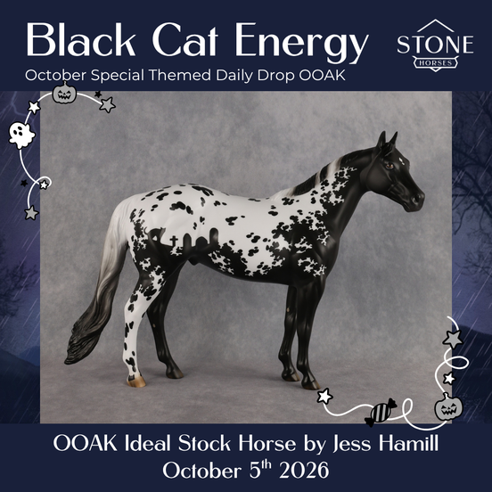 Black Cat Energy OOAK Ideal Stock Horse by Jess Hamill DDOOAKs26
