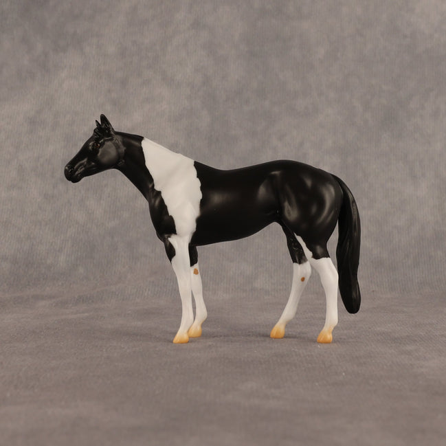 Black Box OOAK Chip Stock Horse by Alex Fortman EQ26