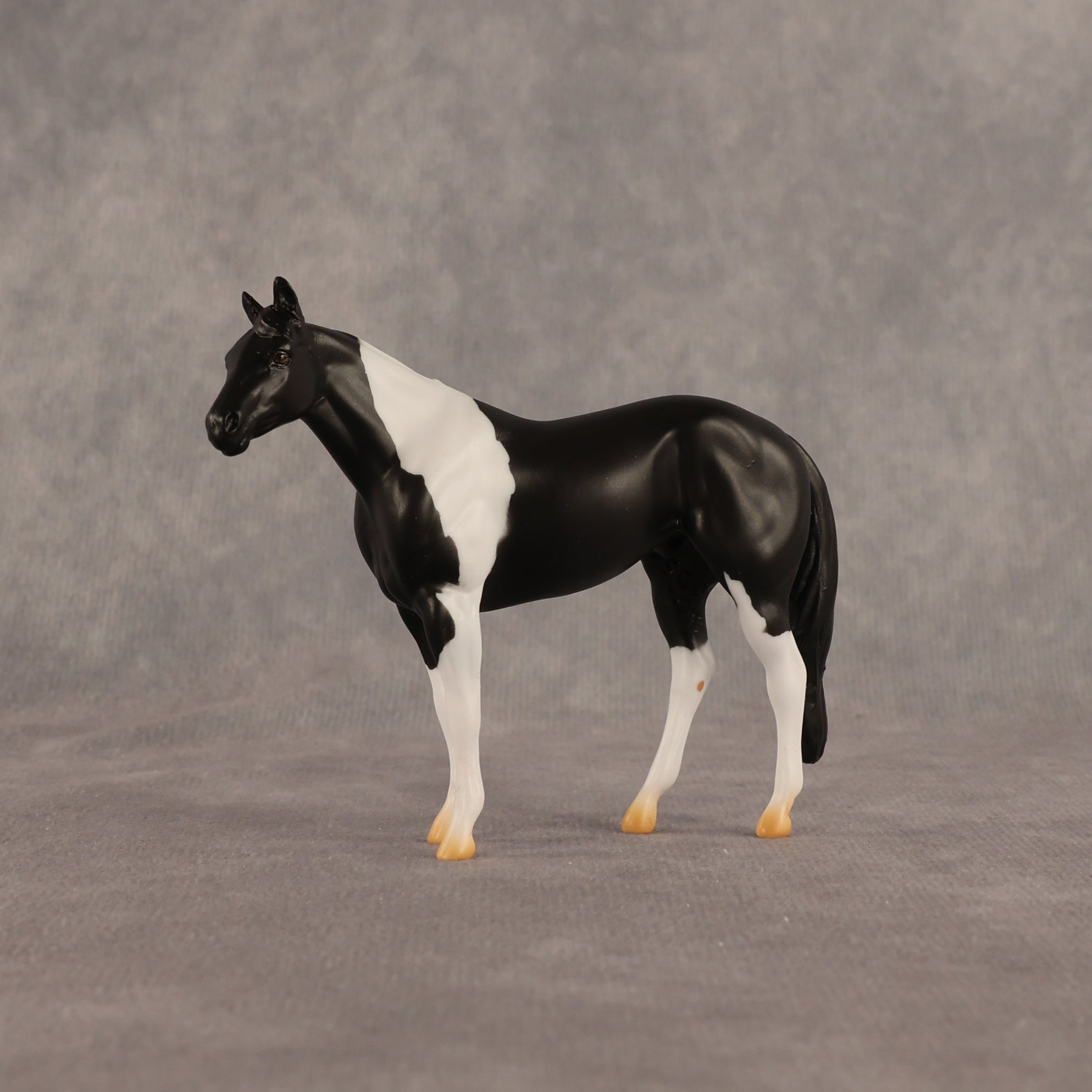 Black Box OOAK Chip Stock Horse by Alex Fortman EQ26