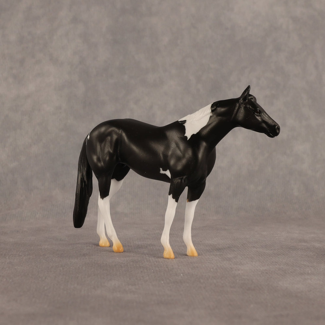 Black Box OOAK Chip Stock Horse by Alex Fortman EQ26