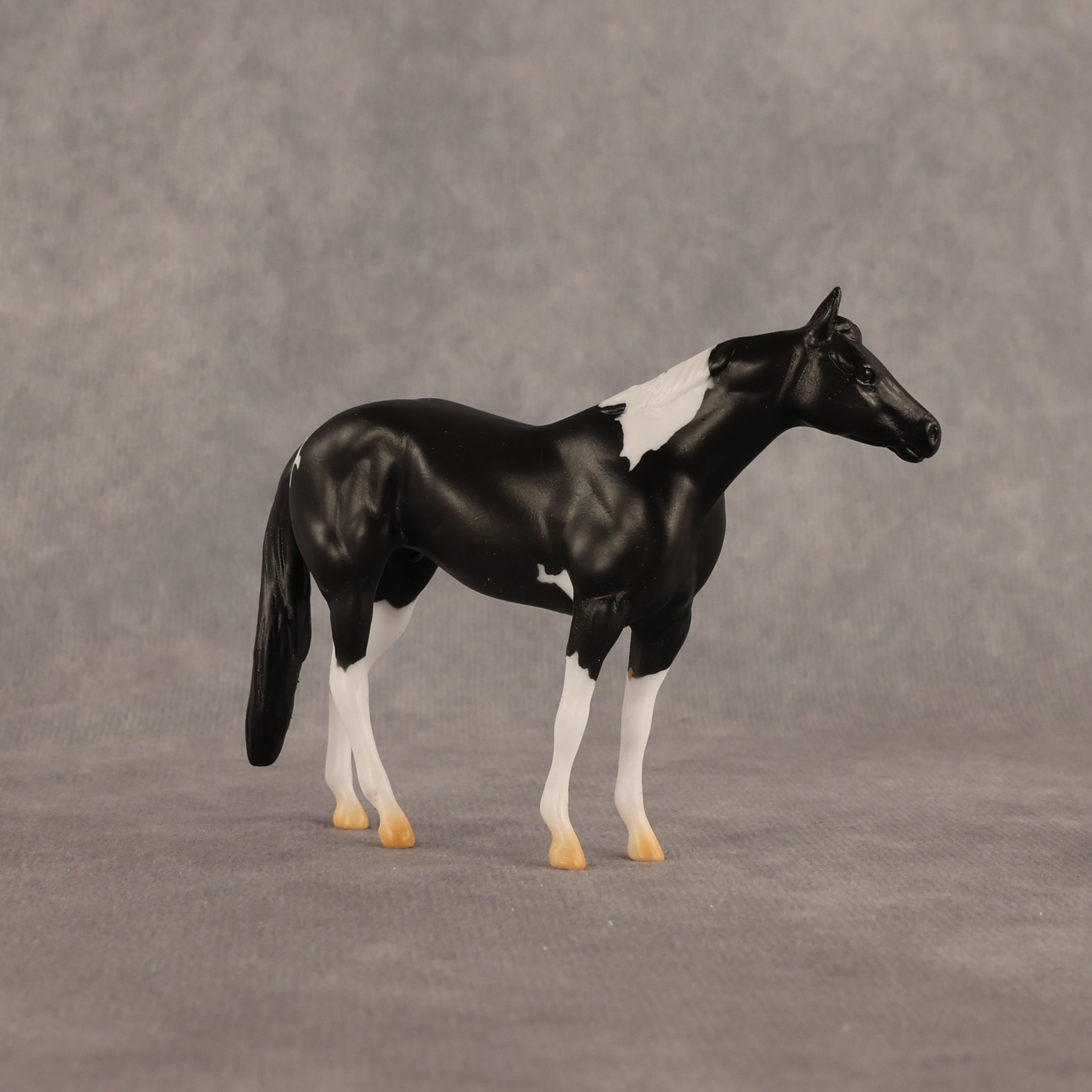 Black Box OOAK Chip Stock Horse by Alex Fortman EQ26