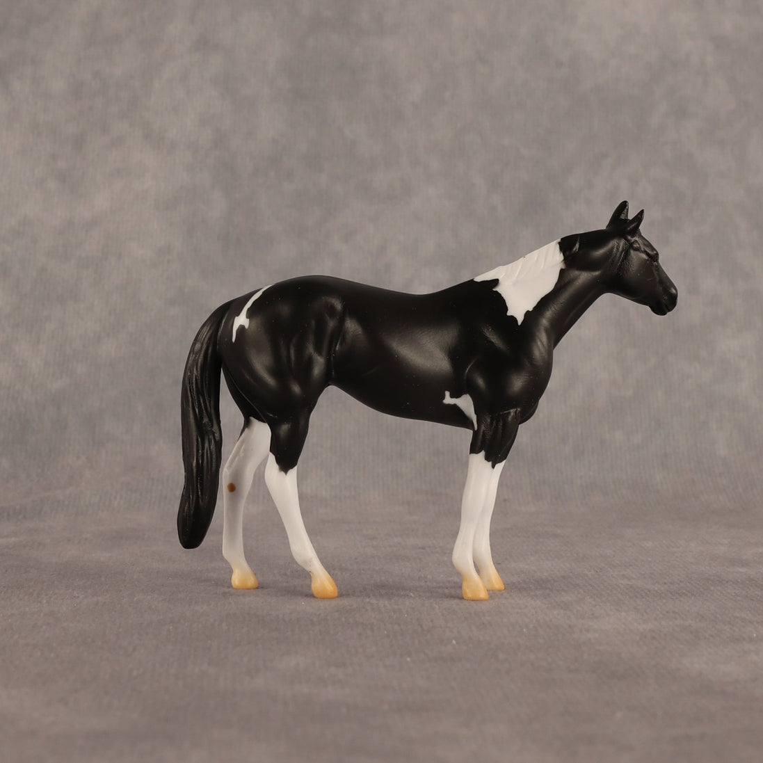 Black Box OOAK Chip Stock Horse by Alex Fortman EQ26