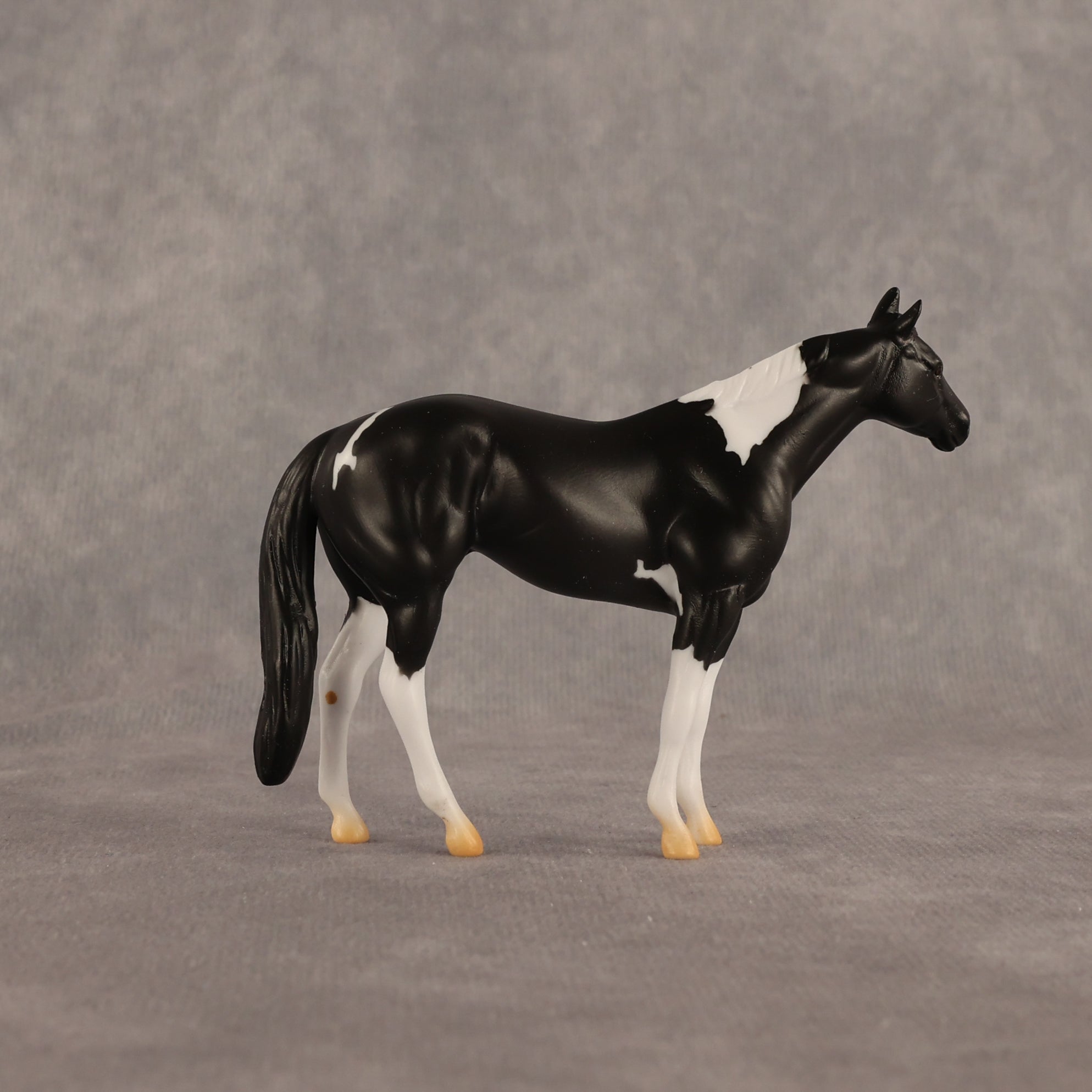 Black Box OOAK Chip Stock Horse by Alex Fortman EQ26