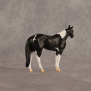 Black Box OOAK Chip Stock Horse by Alex Fortman EQ26