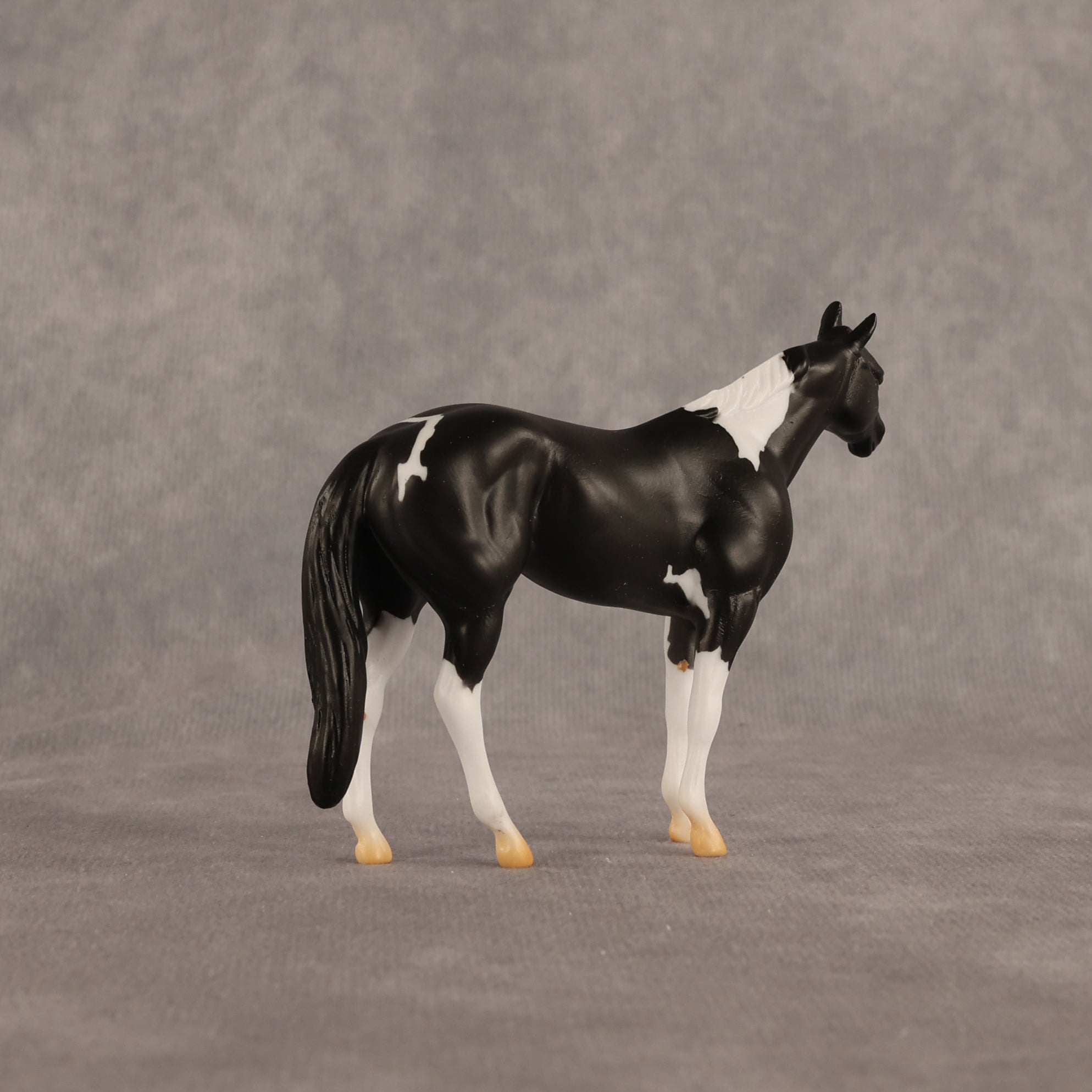 Black Box OOAK Chip Stock Horse by Alex Fortman EQ26