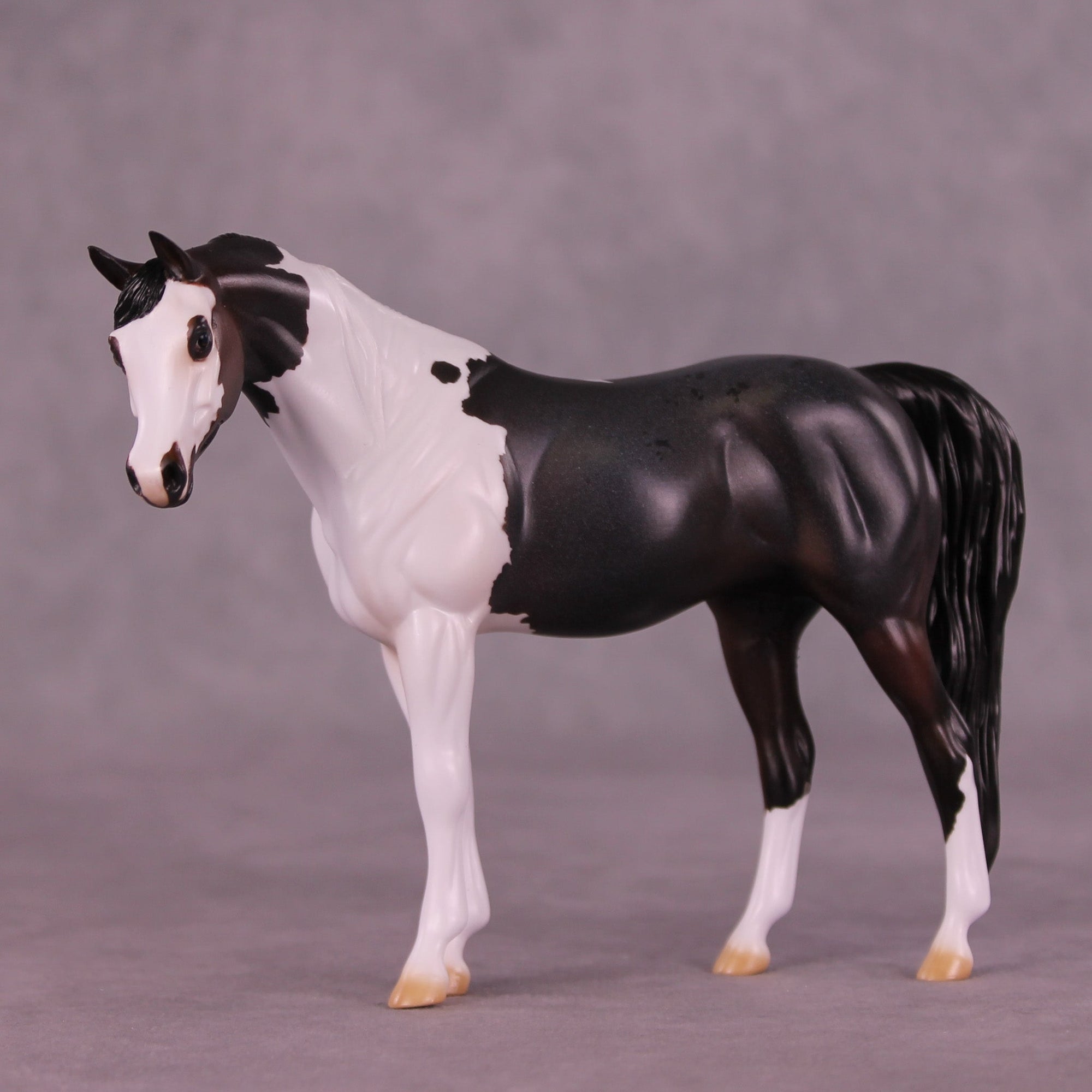 Black Walnut OOAK Pebble Arabian Mare by Jess Hamill MM25 Group C