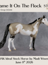 Blame It On The Flock OOAK Ideal Stock Horse by Madi Wiseman DDOOAKs26
