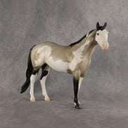 Blame It On The Flock OOAK Ideal Stock Horse by Madi Wiseman DDOOAKs26