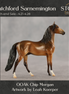 Blatchford Sarnemington OOAK Chip Morgan by Leah Koerper SS0426