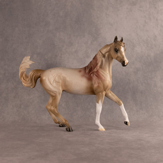 Bloody Maria OOAK FCM Arabian Mare by Anna Rieck EQ26