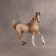 Bloody Maria OOAK FCM Arabian Mare by Anna Rieck EQ26