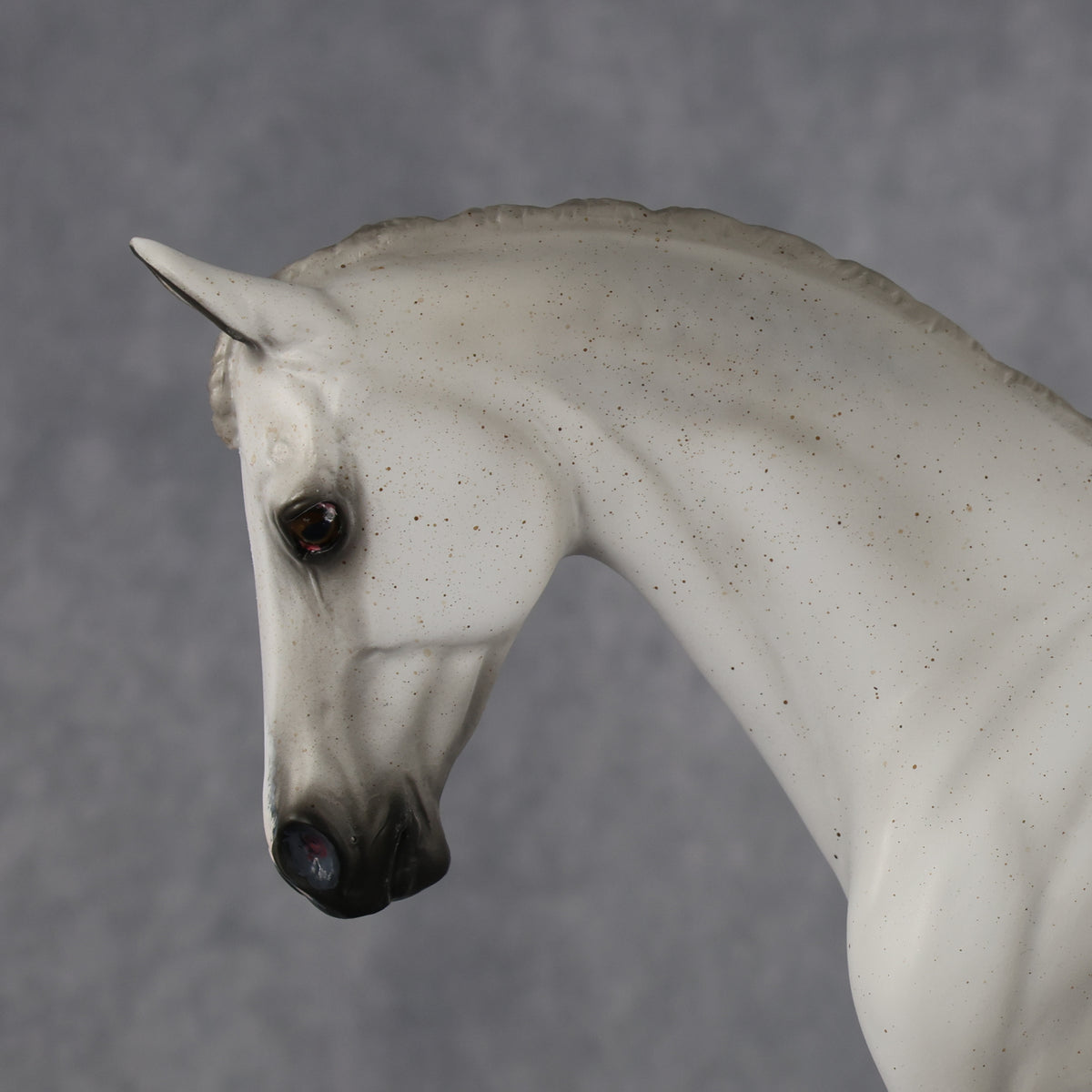 Blue Steel OOAK EFCM Thoroughbred by Tiffany Purdy MM26