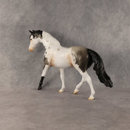 Blue Jay OOAK FCM Pony by Madi Wiseman SHCF26