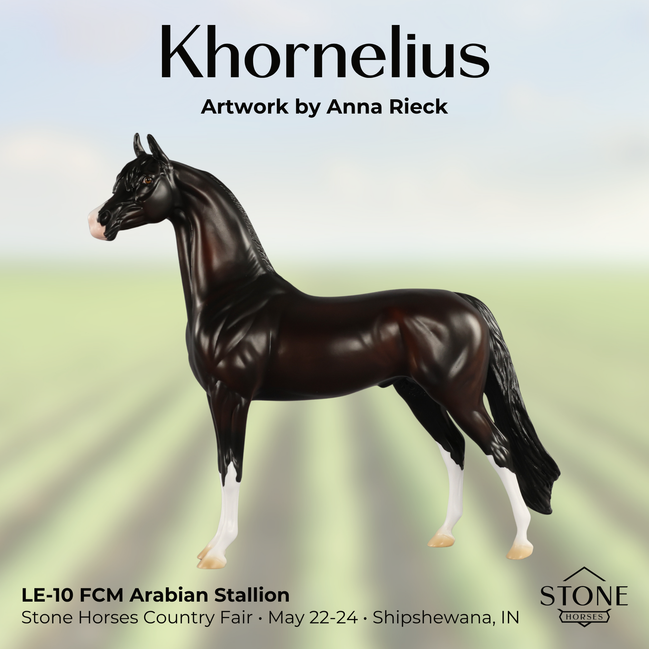 Khornelius LE-10 FCM Arabian Stallion by Anna Rieck SHCF26
