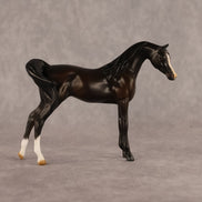 Bouchra OOAK FCM Chip Arabian by Kristen Cermele GS26