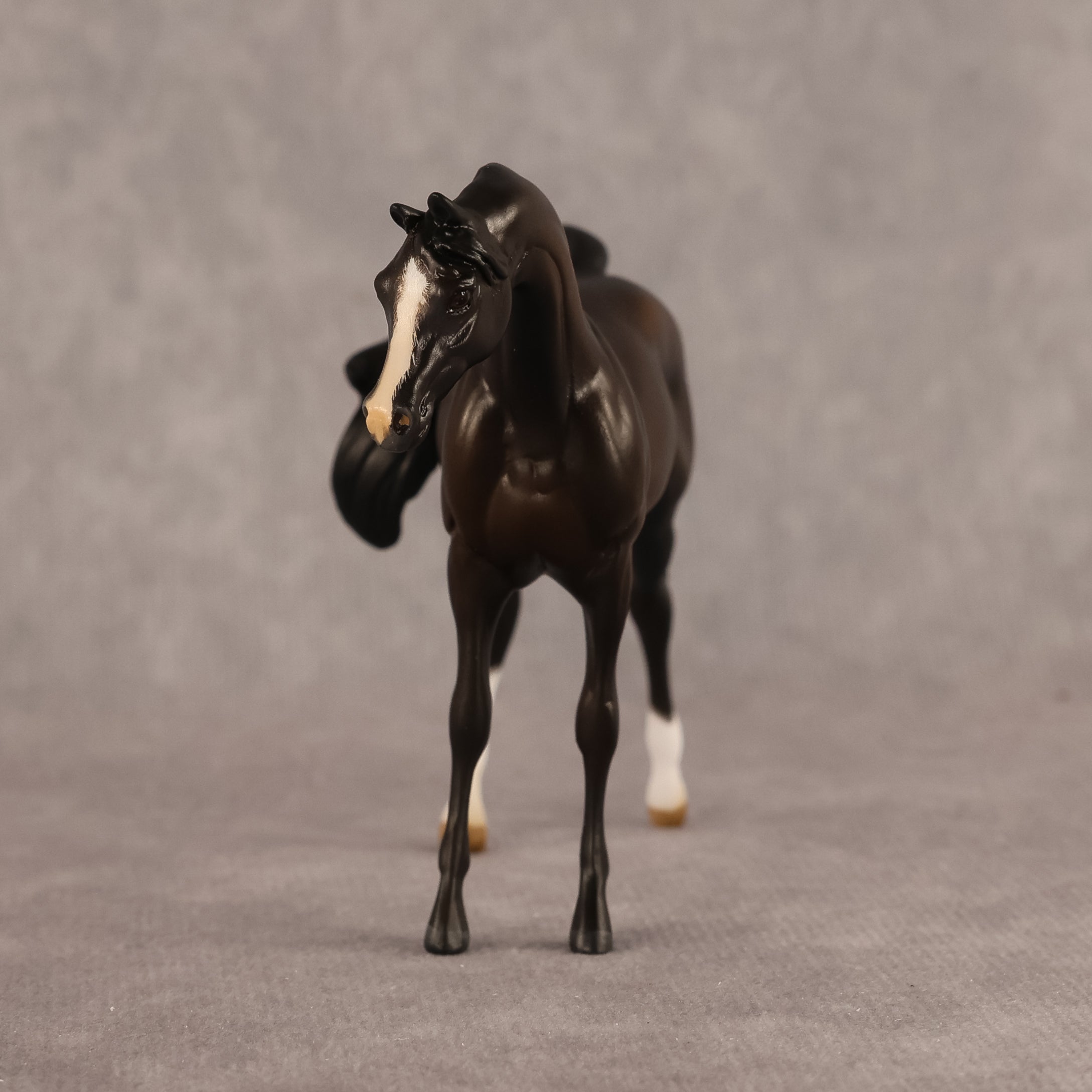 Bouchra OOAK FCM Chip Arabian by Kristen Cermele GS26