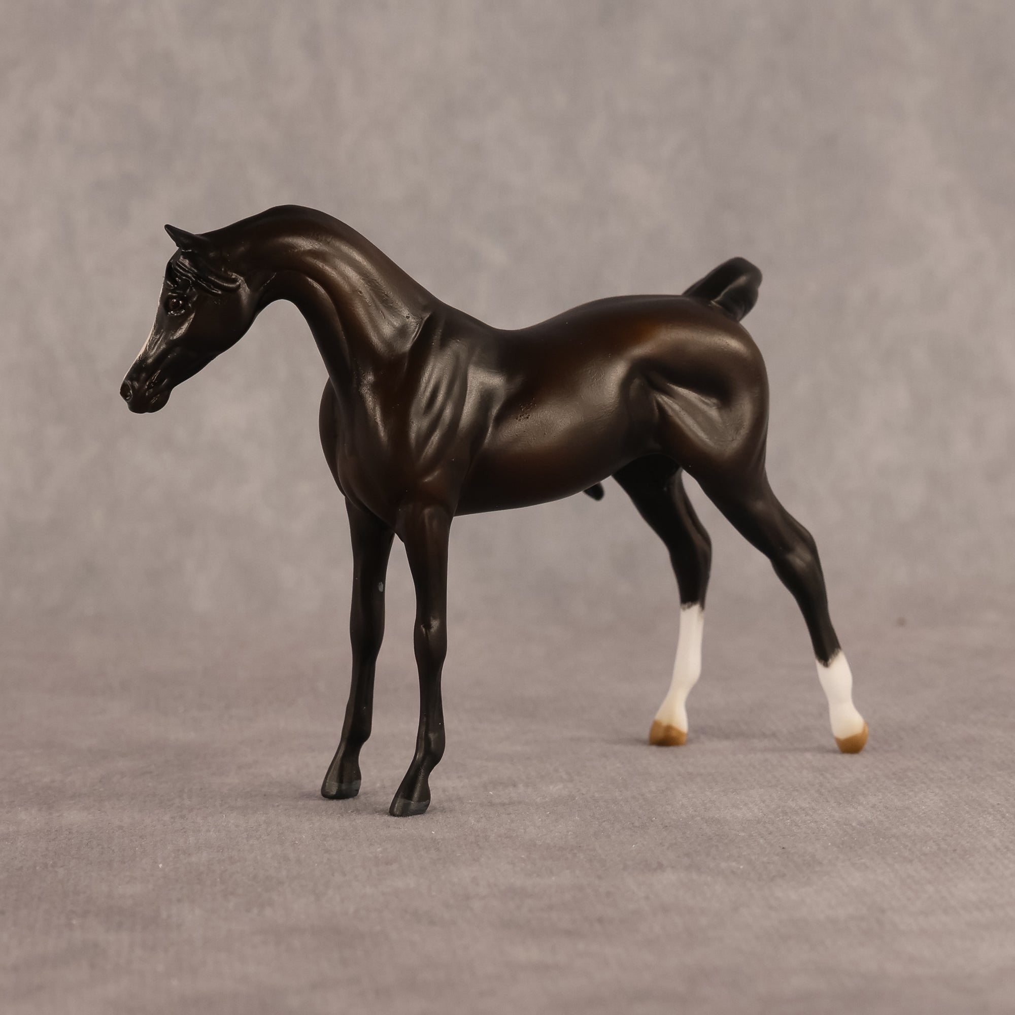 Bouchra OOAK FCM Chip Arabian by Kristen Cermele GS26