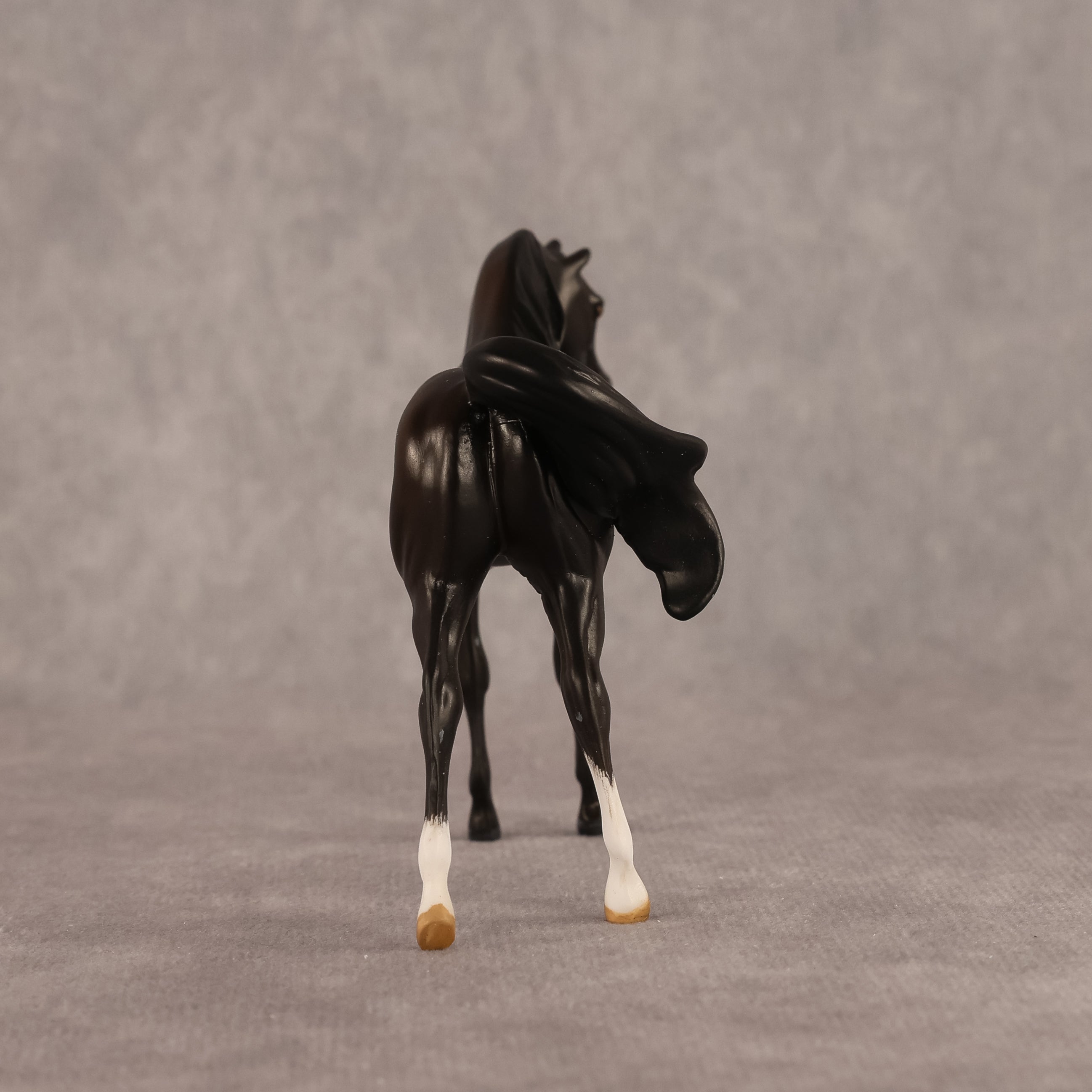 Bouchra OOAK FCM Chip Arabian by Kristen Cermele GS26
