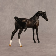 Bouchra OOAK FCM Chip Arabian by Kristen Cermele GS26