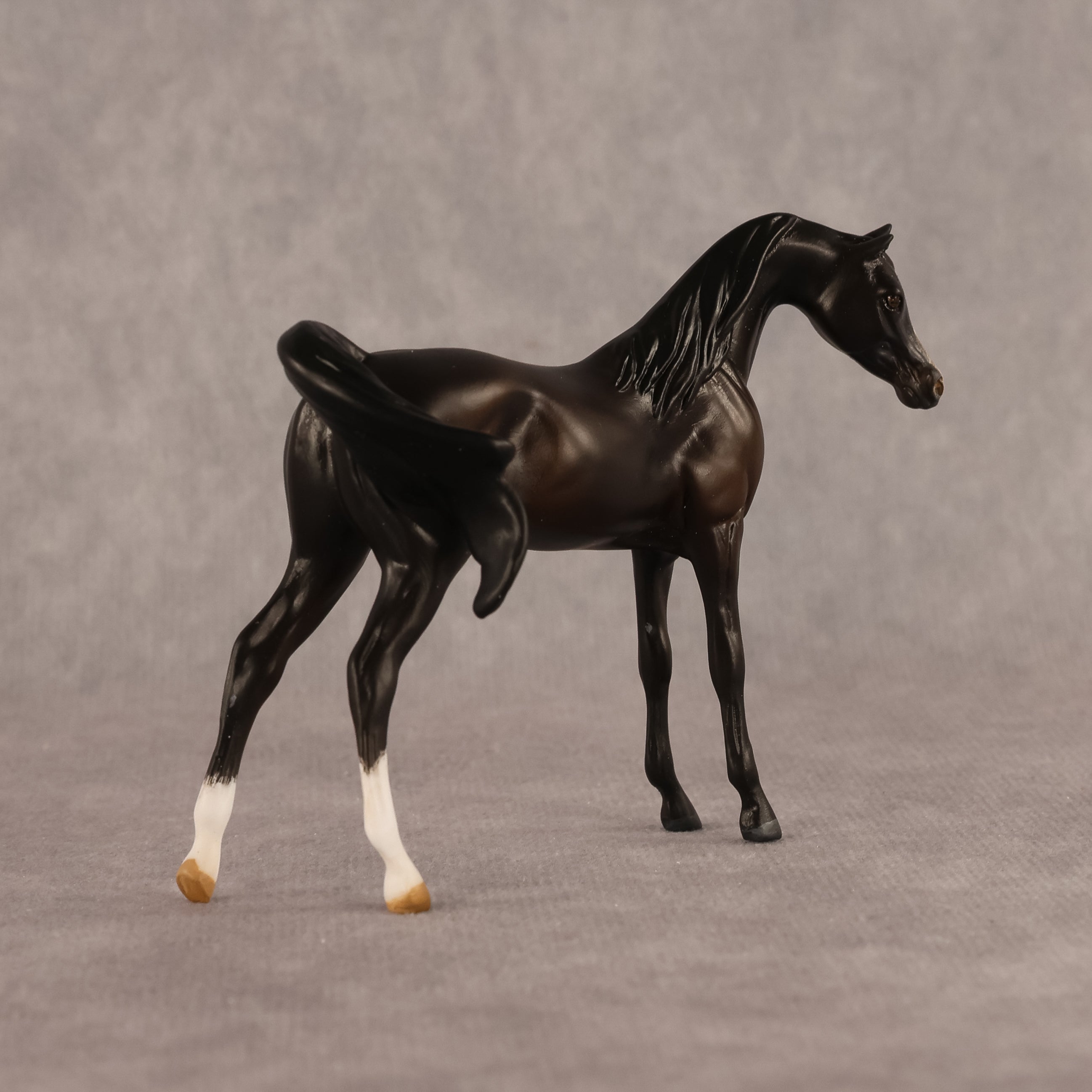 Bouchra OOAK FCM Chip Arabian by Kristen Cermele GS26