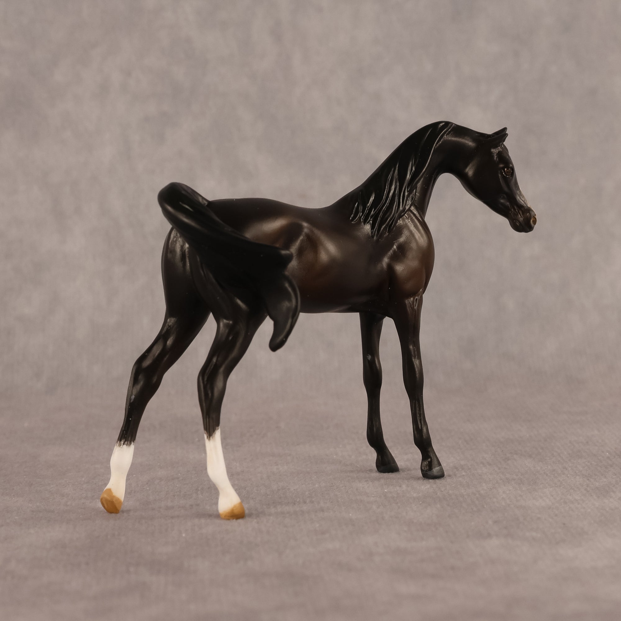 Bouchra OOAK FCM Chip Arabian by Kristen Cermele GS26