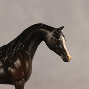 Bouchra OOAK FCM Chip Arabian by Kristen Cermele GS26