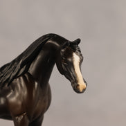 Bouchra OOAK FCM Chip Arabian by Kristen Cermele GS26
