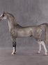 Bounty OOAK Arabian Stallion by Kristen Cermele EQ26
