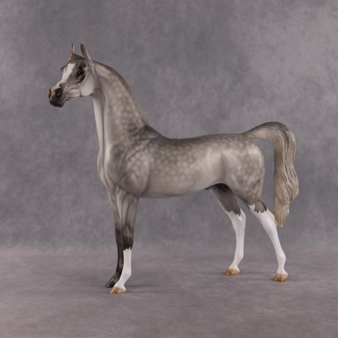 Bounty OOAK Arabian Stallion by Kristen Cermele EQ26