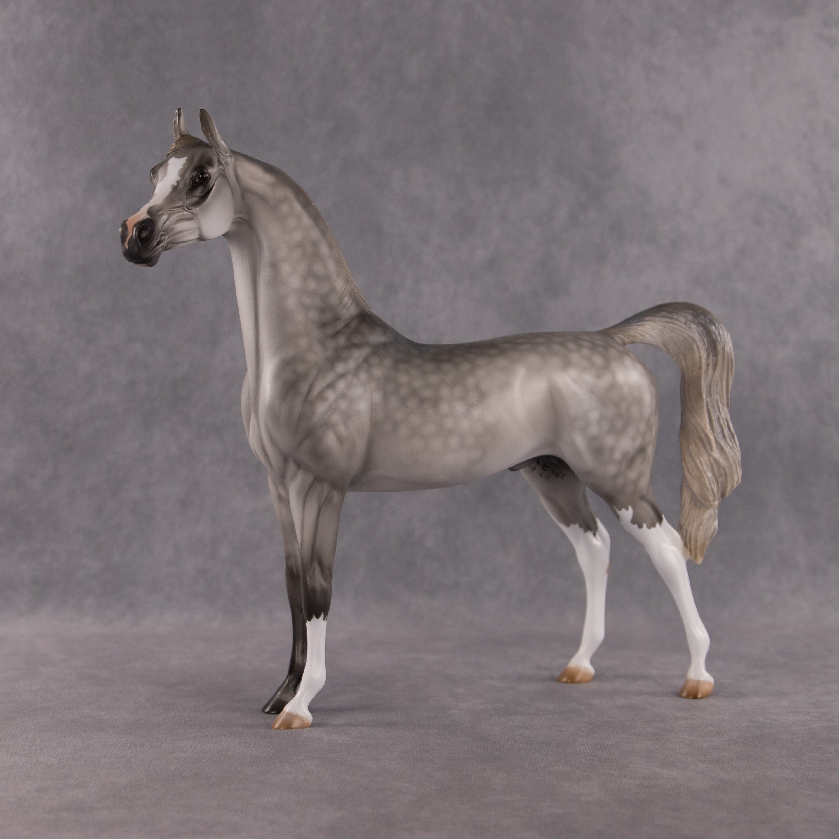 Bounty OOAK Arabian Stallion by Kristen Cermele EQ26