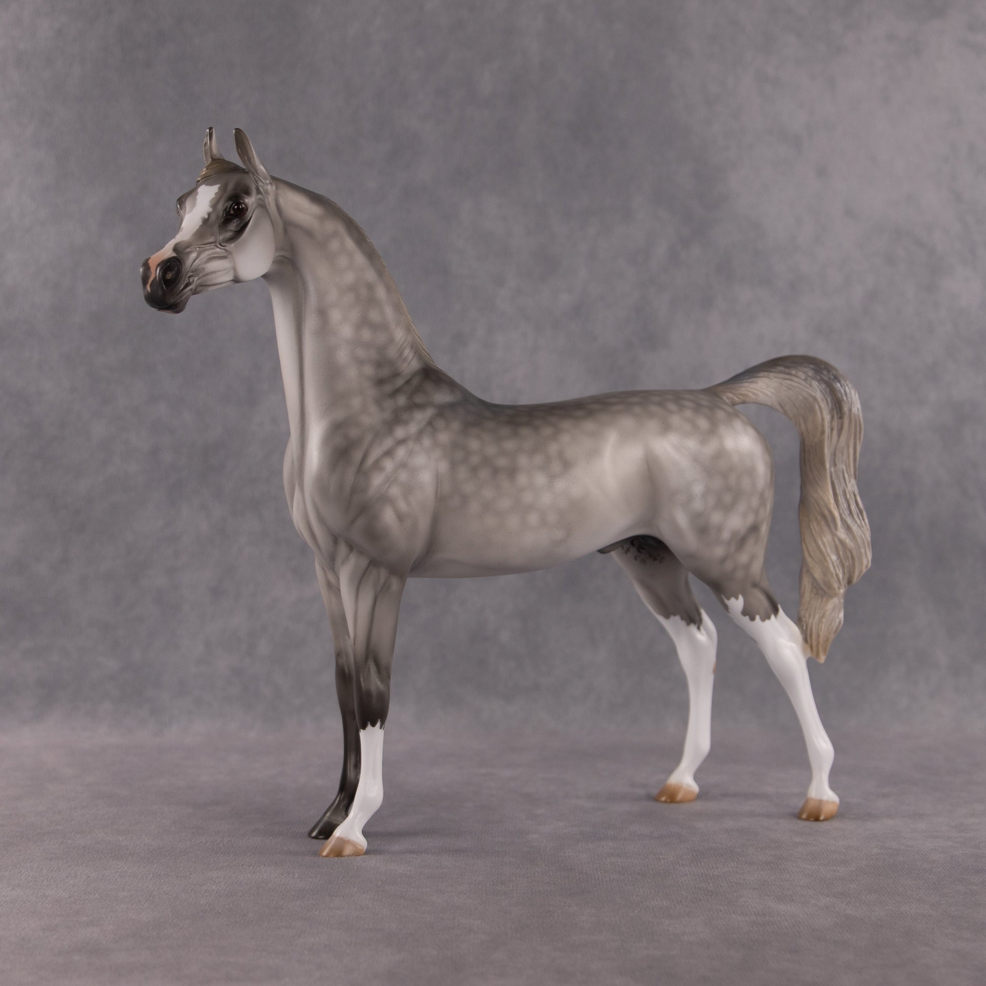 Bounty OOAK Arabian Stallion by Kristen Cermele EQ26