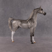 Bounty OOAK Arabian Stallion by Kristen Cermele EQ26