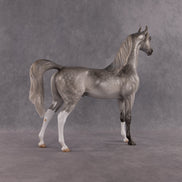 Bounty OOAK Arabian Stallion by Kristen Cermele EQ26