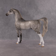 Bounty OOAK Arabian Stallion by Kristen Cermele EQ26