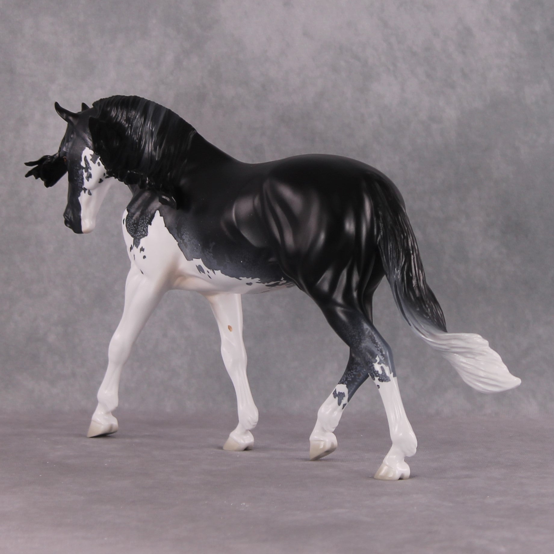 SAMPLE Bowride LE-5 Irish Draught by Jess Hamill SS0126