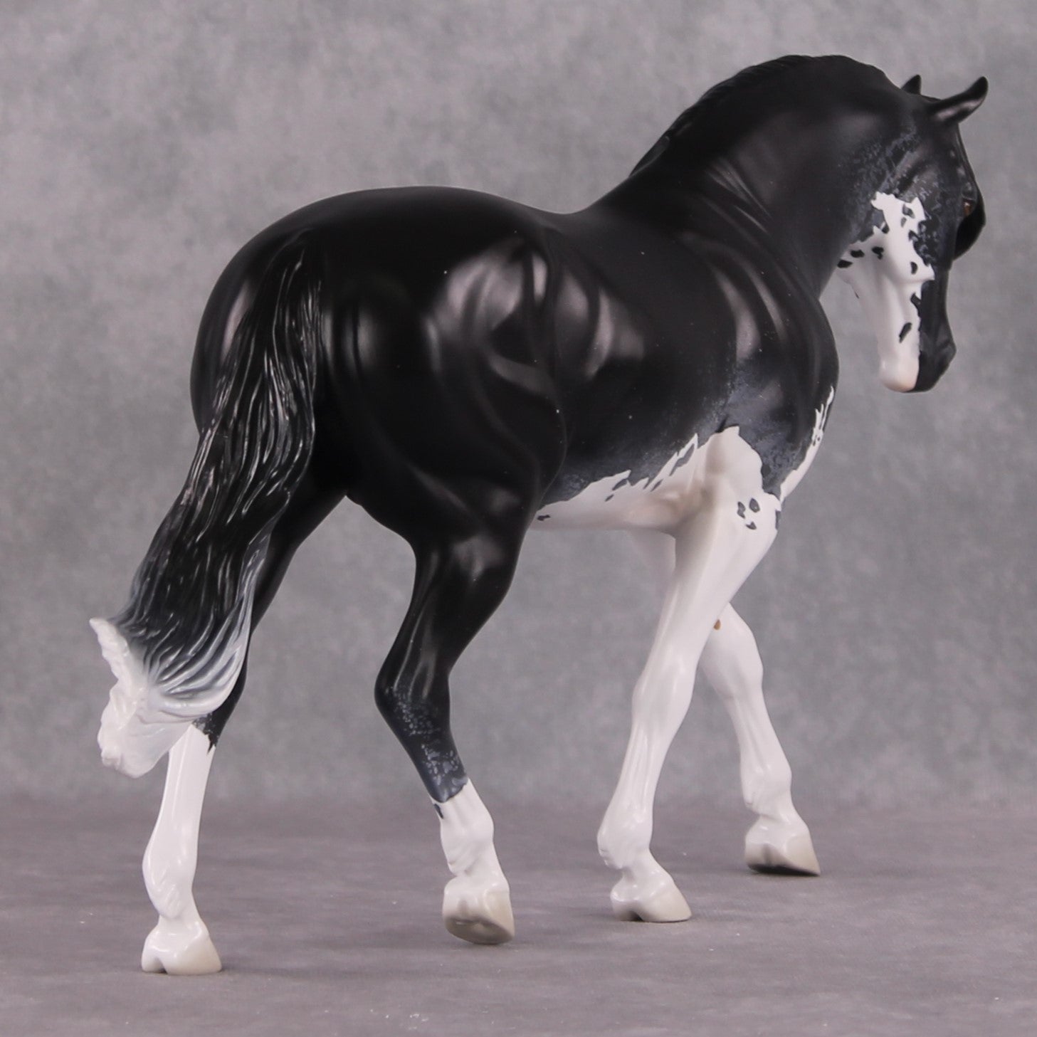 SAMPLE Bowride LE-5 Irish Draught by Jess Hamill SS0126