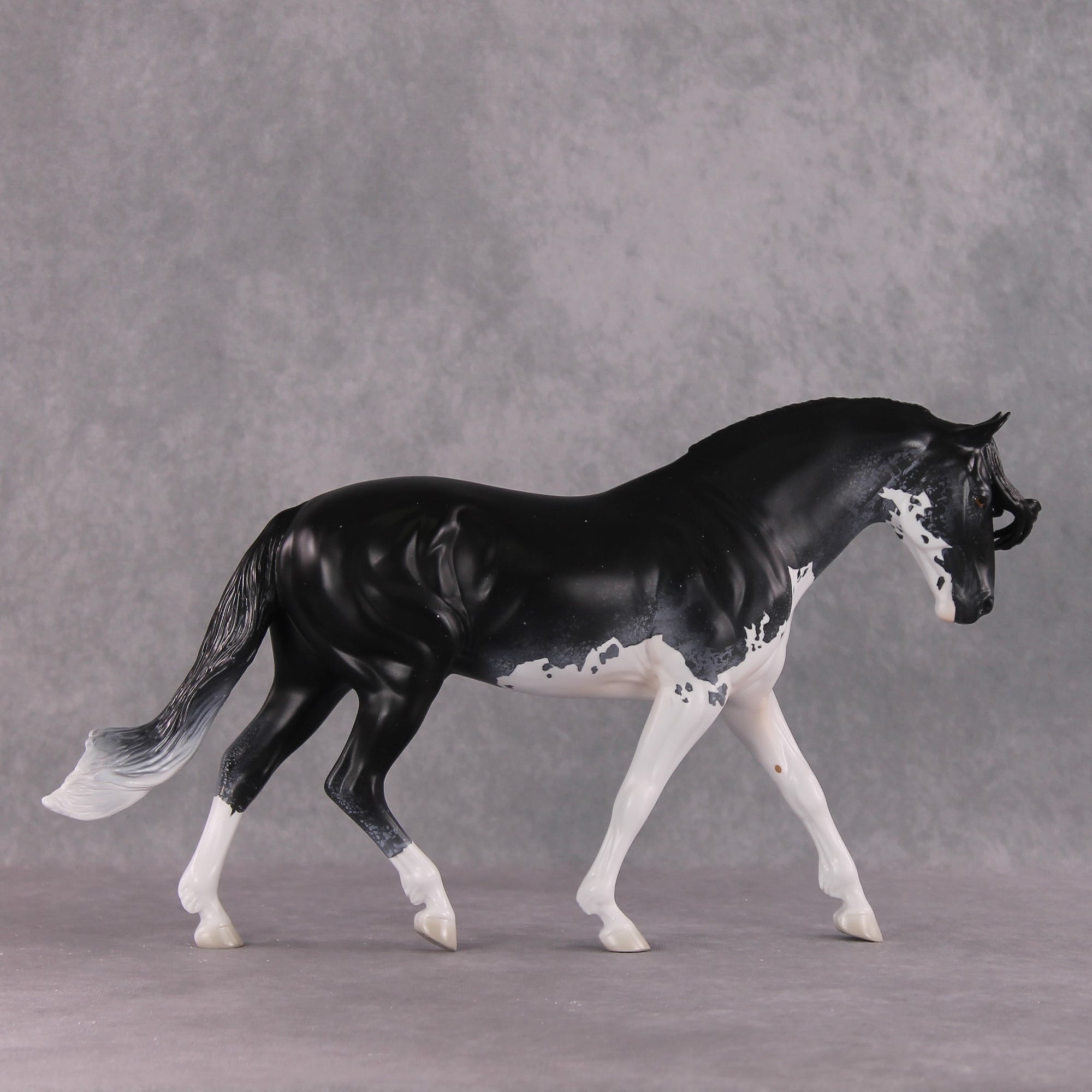 SAMPLE Bowride LE-5 Irish Draught by Jess Hamill SS0126