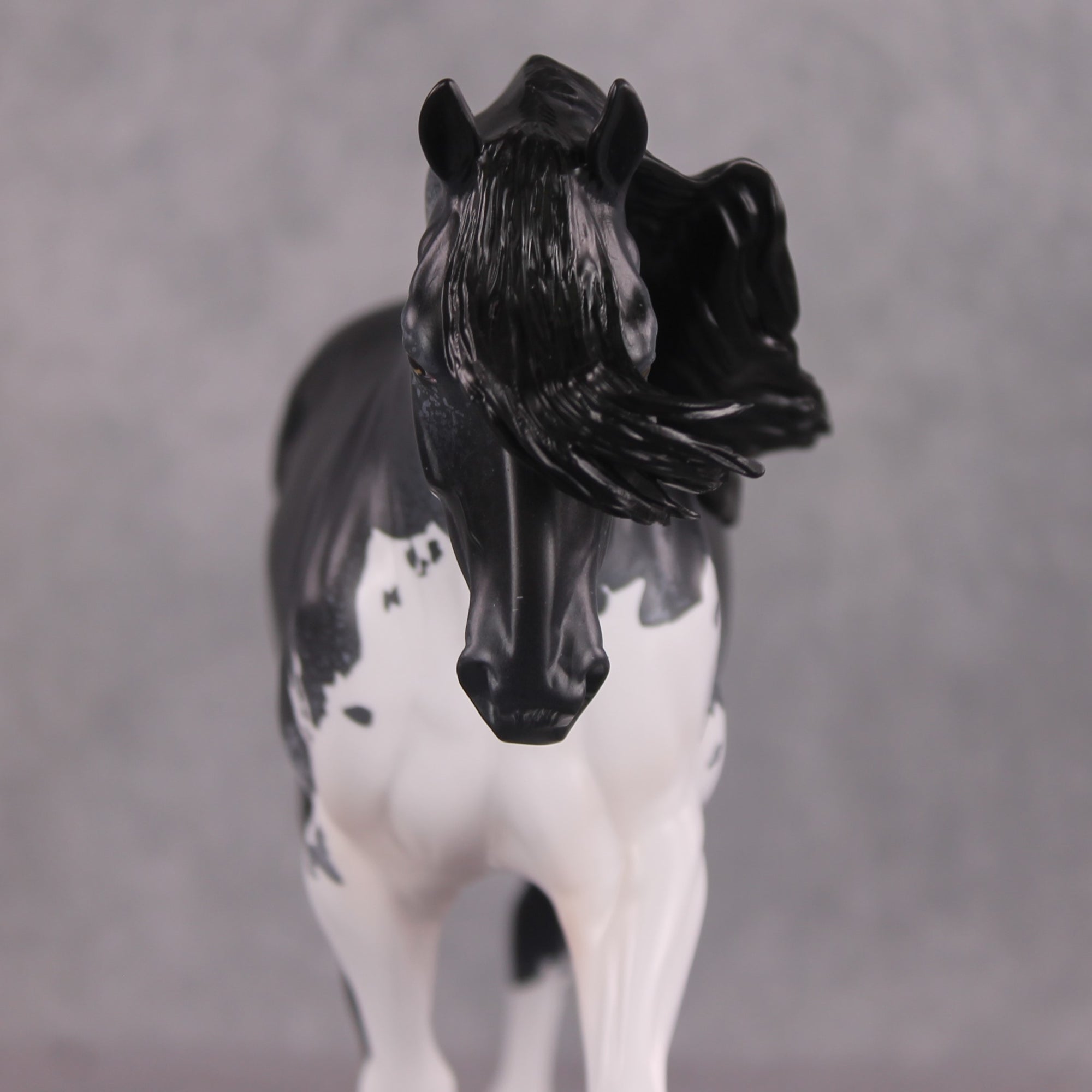 SAMPLE Bowride LE-5 Irish Draught by Jess Hamill SS0126