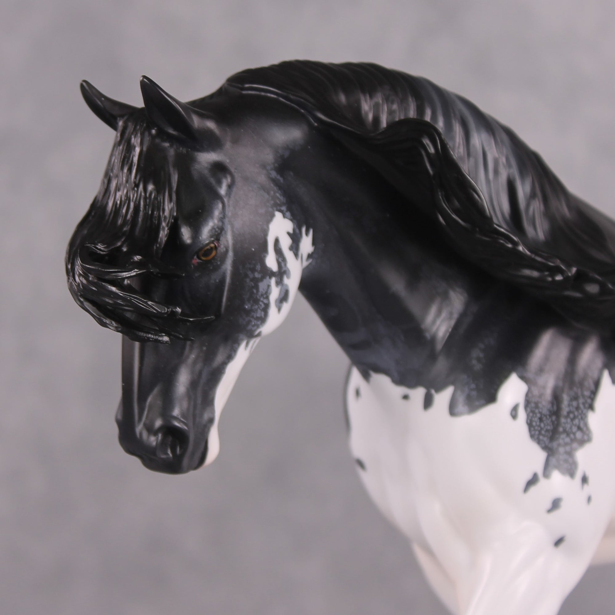 SAMPLE Bowride LE-5 Irish Draught by Jess Hamill SS0126