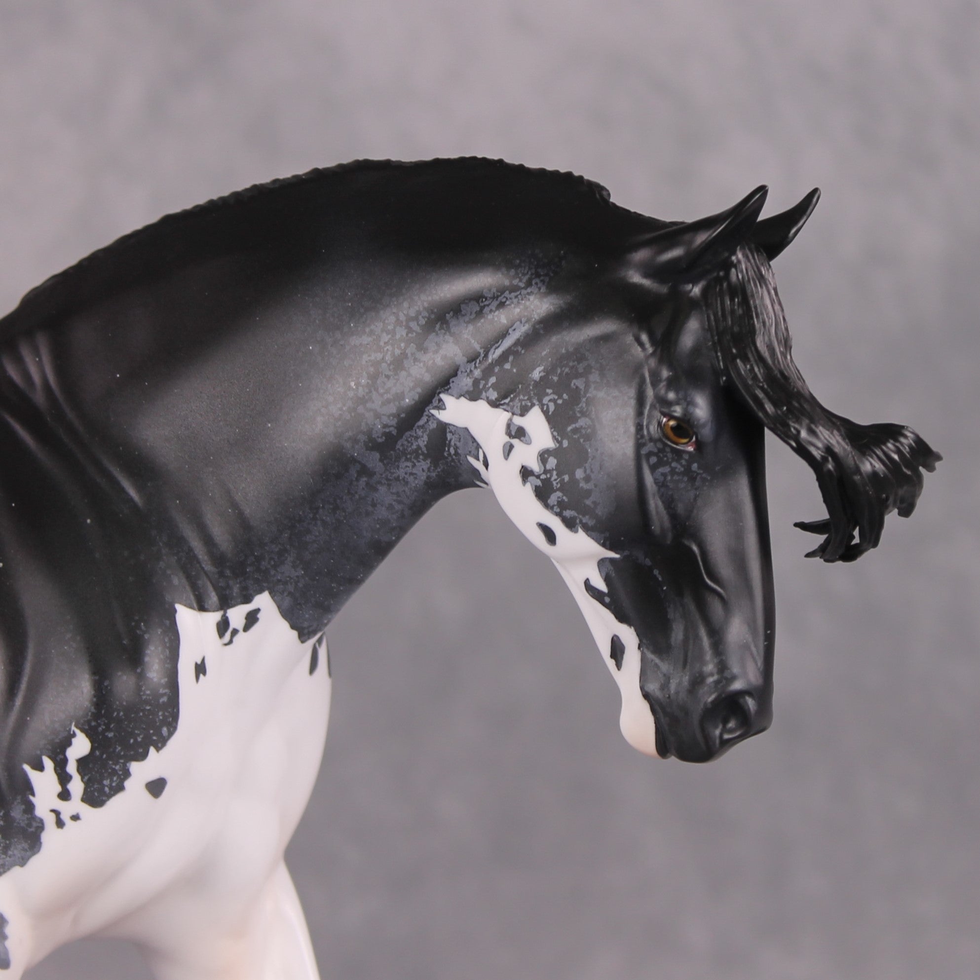 SAMPLE Bowride LE-5 Irish Draught by Jess Hamill SS0126