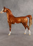 Capulet OOAK Arabian Stallion by Jess Hamill SHCF26