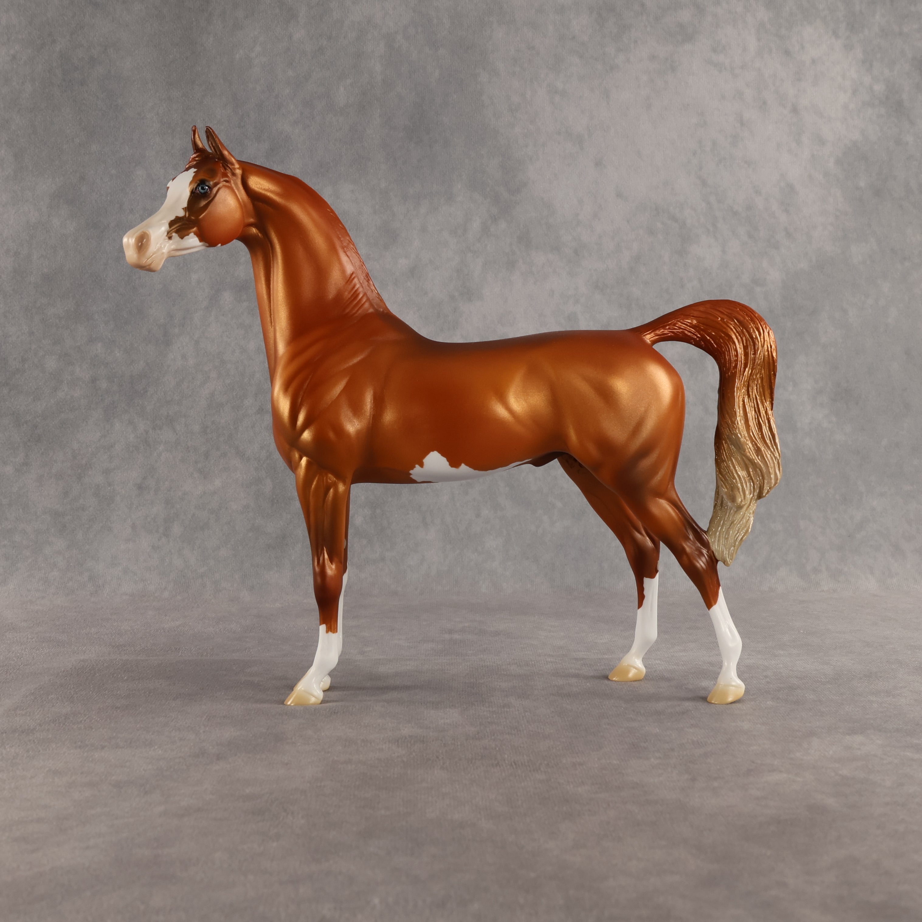 Capulet OOAK Arabian Stallion by Jess Hamill SHCF26
